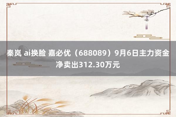 秦岚 ai换脸 嘉必优（688089）9月6日主力资金净卖出312.30万元