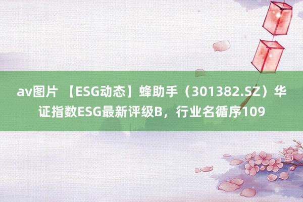 av图片 【ESG动态】蜂助手（301382.SZ）华证指数ESG最新评级B，行业名循序109