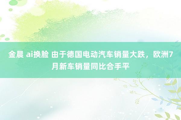 金晨 ai换脸 由于德国电动汽车销量大跌，欧洲7月新车销量同比合手平