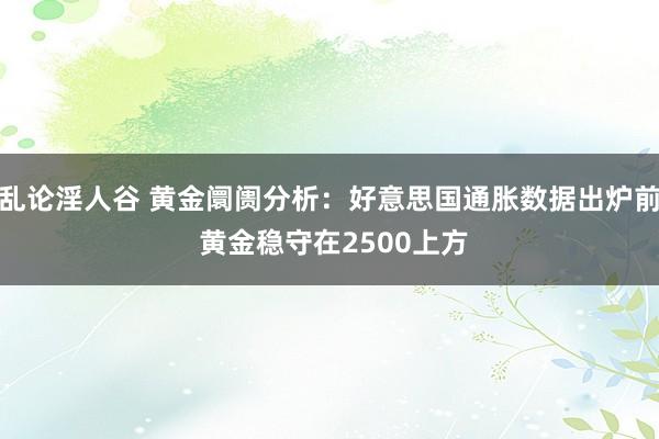 乱论淫人谷 黄金阛阓分析：好意思国通胀数据出炉前 黄金稳守在2500上方