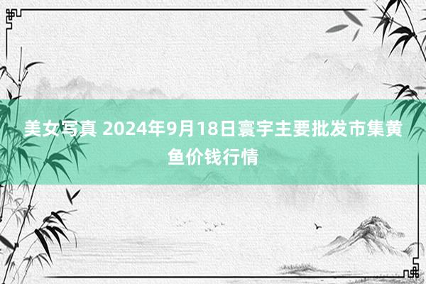 美女写真 2024年9月18日寰宇主要批发市集黄鱼价钱行情