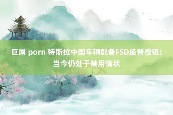 巨屌 porn 特斯拉中国车辆配备FSD监督按钮：当今仍处于禁用情状