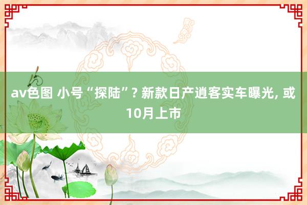 av色图 小号“探陆”? 新款日产逍客实车曝光， 或10月上市