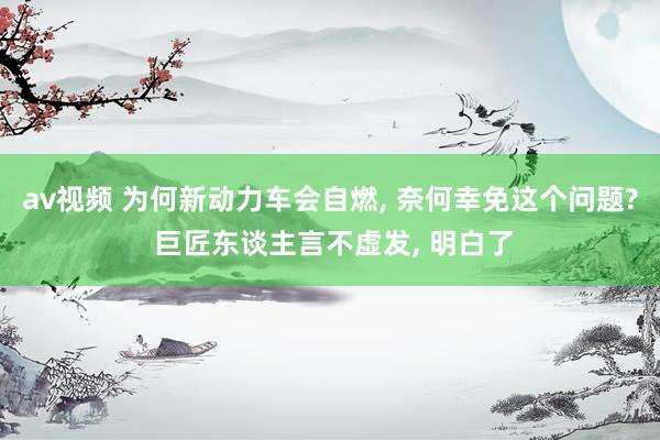 av视频 为何新动力车会自燃， 奈何幸免这个问题? 巨匠东谈主言不虚发， 明白了