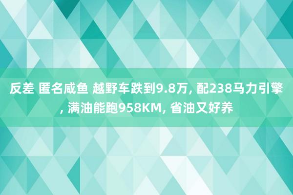 反差 匿名咸鱼 越野车跌到9.8万， 配238马力引擎， 满油能跑958KM， 省油又好养