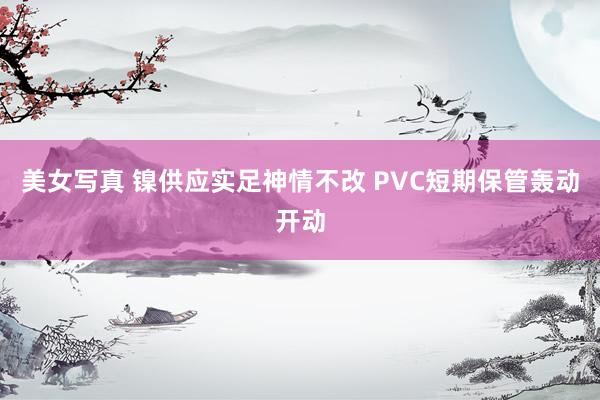 美女写真 镍供应实足神情不改 PVC短期保管轰动开动