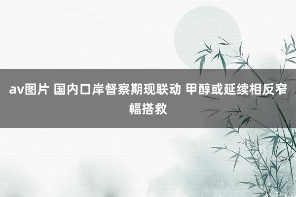 av图片 国内口岸督察期现联动 甲醇或延续相反窄幅搭救