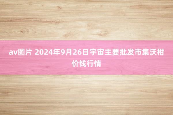 av图片 2024年9月26日宇宙主要批发市集沃柑价钱行情