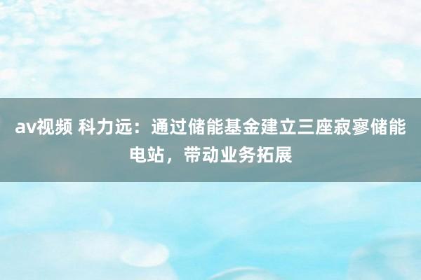 av视频 科力远：通过储能基金建立三座寂寥储能电站，带动业务拓展