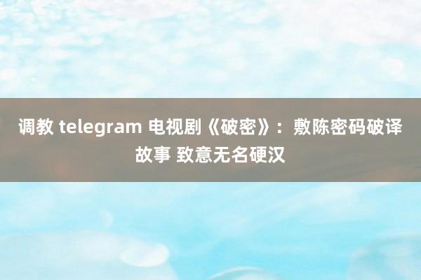 调教 telegram 电视剧《破密》：敷陈密码破译故事 致意无名硬汉