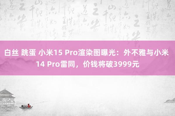 白丝 跳蛋 小米15 Pro渲染图曝光：外不雅与小米 14 Pro雷同，价钱将破3999元