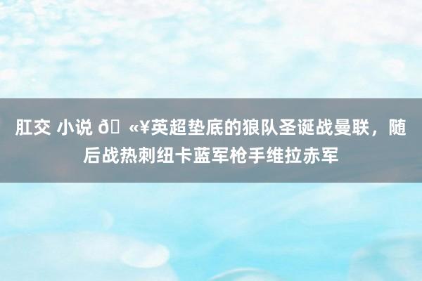 肛交 小说 🫥英超垫底的狼队圣诞战曼联，随后战热刺纽卡蓝军枪手维拉赤军