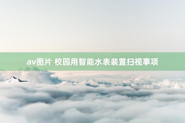 av图片 校园用智能水表装置扫视事项