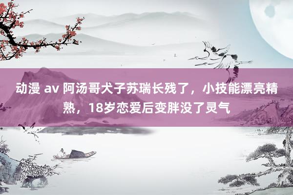 动漫 av 阿汤哥犬子苏瑞长残了，小技能漂亮精熟，18岁恋爱后变胖没了灵气