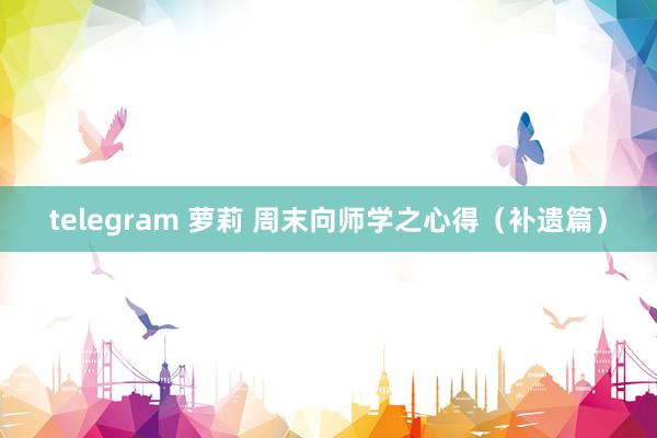 telegram 萝莉 周末向师学之心得（补遗篇）