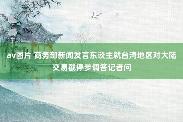 av图片 商务部新闻发言东谈主就台湾地区对大陆交易截停步调答记者问