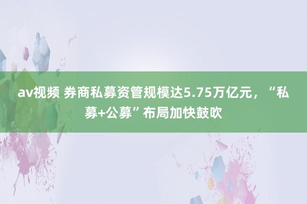 av视频 券商私募资管规模达5.75万亿元，“私募+公募”布局加快鼓吹