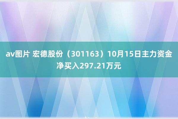 av图片 宏德股份（301163）10月15日主力资金净买入297.21万元