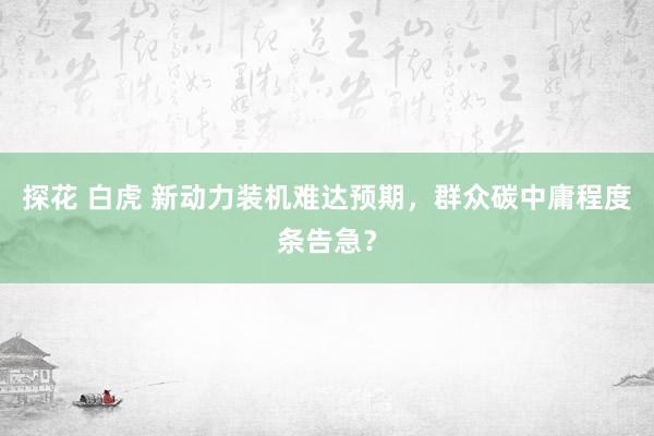 探花 白虎 新动力装机难达预期，群众碳中庸程度条告急？