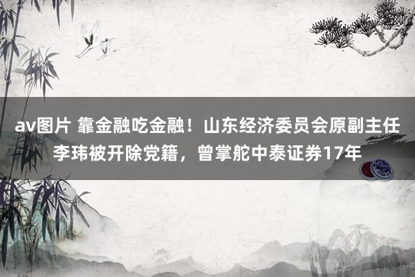 av图片 靠金融吃金融！山东经济委员会原副主任李玮被开除党籍，曾掌舵中泰证券17年