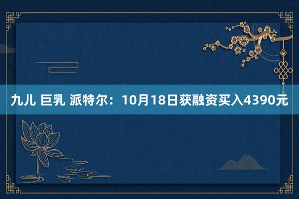 九儿 巨乳 派特尔：10月18日获融资买入4390元