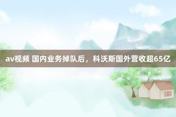 av视频 国内业务掉队后，科沃斯国外营收超65亿