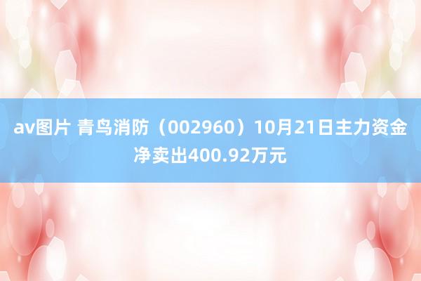 av图片 青鸟消防（002960）10月21日主力资金净卖出400.92万元