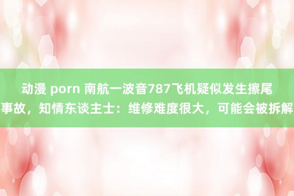 动漫 porn 南航一波音787飞机疑似发生擦尾事故，知情东谈主士：维修难度很大，可能会被拆解