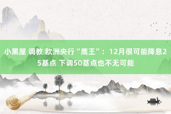 小黑屋 调教 欧洲央行“鹰王”：12月很可能降息25基点 下调50基点也不无可能