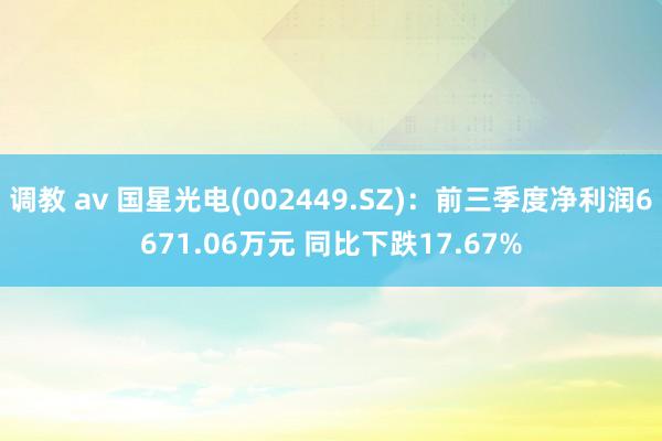 调教 av 国星光电(002449.SZ)：前三季度净利润6671.06万元 同比下跌17.67%