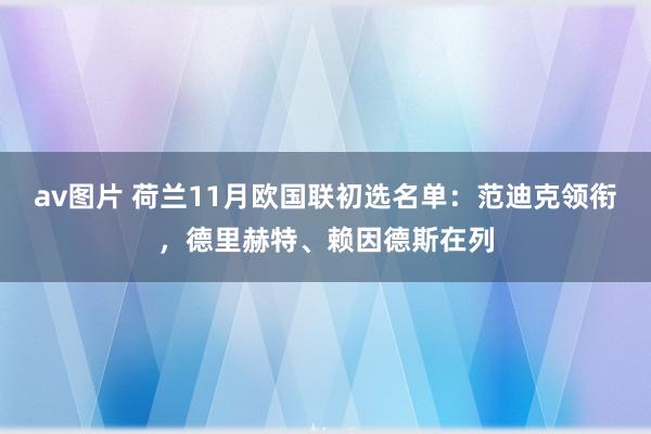 av图片 荷兰11月欧国联初选名单：范迪克领衔，德里赫特、赖因德斯在列