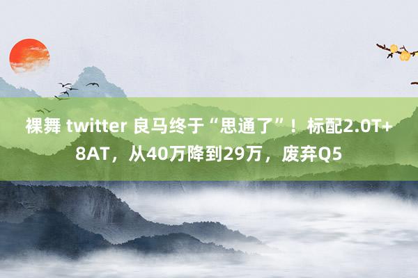 裸舞 twitter 良马终于“思通了”！标配2.0T+8AT，从40万降到29万，废弃Q5