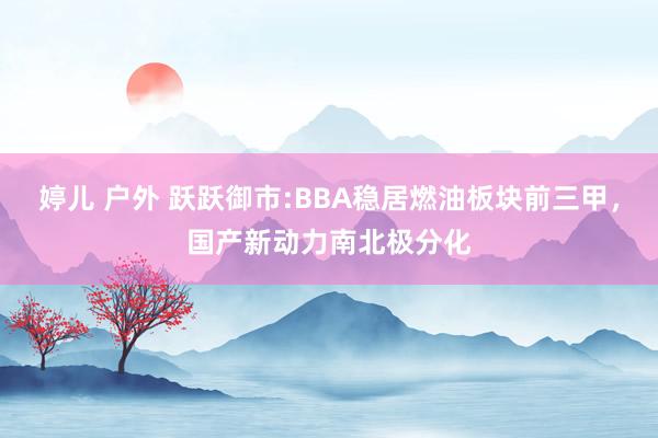 婷儿 户外 跃跃御市:BBA稳居燃油板块前三甲，国产新动力南北极分化