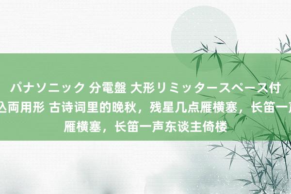 パナソニック 分電盤 大形リミッタースペース付 露出・半埋込両用形 古诗词里的晚秋，残星几点雁横塞，长笛一声东谈主倚楼