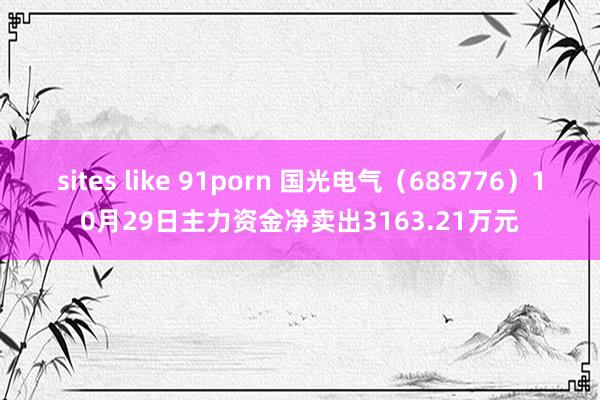 sites like 91porn 国光电气（688776）10月29日主力资金净卖出3163.21万元