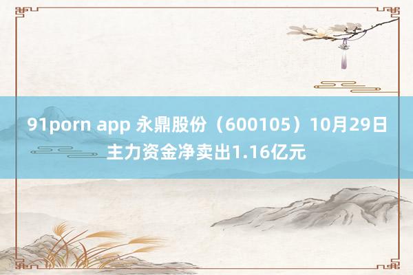 91porn app 永鼎股份（600105）10月29日主力资金净卖出1.16亿元