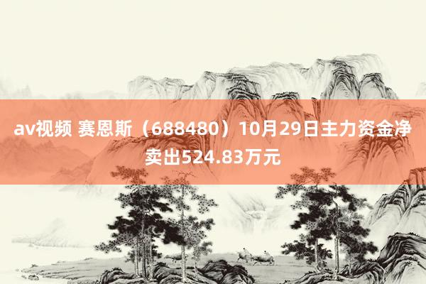 av视频 赛恩斯（688480）10月29日主力资金净卖出524.83万元