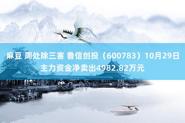 麻豆 周处除三害 鲁信创投（600783）10月29日主力资金净卖出4982.82万元