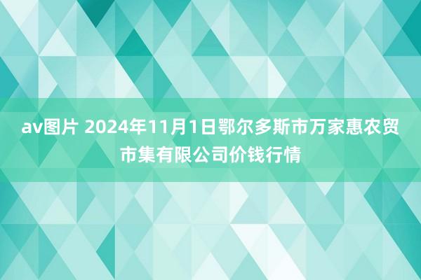 av图片 2024年11月1日鄂尔多斯市万家惠农贸市集有限公司价钱行情