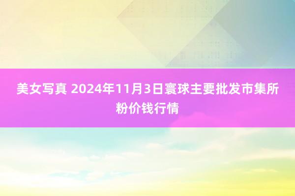 美女写真 2024年11月3日寰球主要批发市集所粉价钱行情