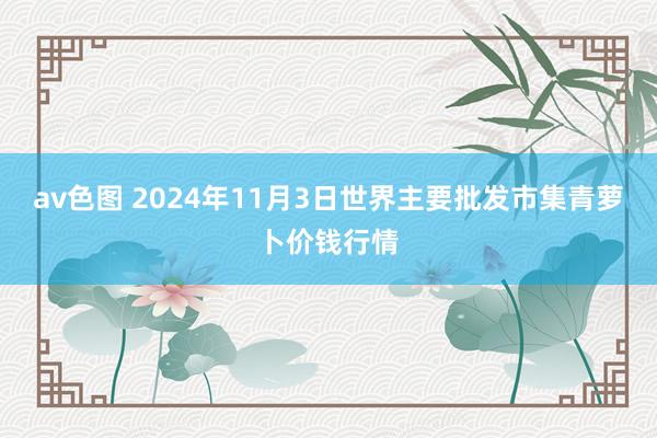 av色图 2024年11月3日世界主要批发市集青萝卜价钱行情