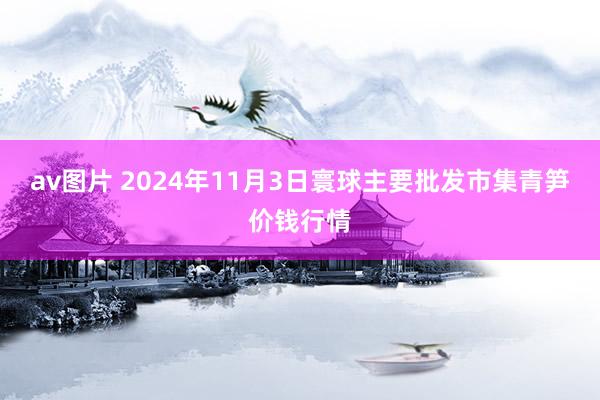 av图片 2024年11月3日寰球主要批发市集青笋价钱行情