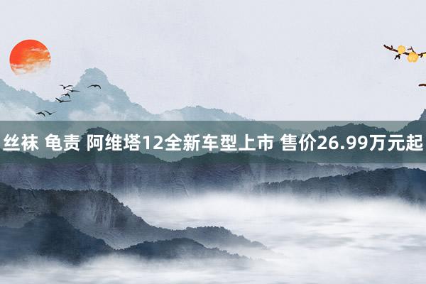 丝袜 龟责 阿维塔12全新车型上市 售价26.99万元起