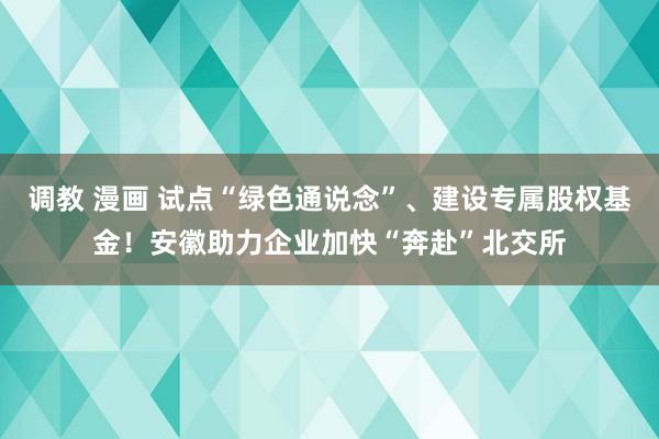 调教 漫画 试点“绿色通说念”、建设专属股权基金！安徽助力企业加快“奔赴”北交所