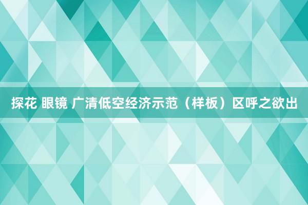 探花 眼镜 广清低空经济示范（样板）区呼之欲出