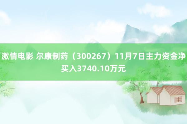 激情电影 尔康制药（300267）11月7日主力资金净买入3740.10万元