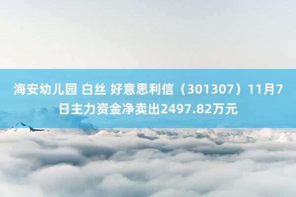 海安幼儿园 白丝 好意思利信（301307）11月7日主力资金净卖出2497.82万元