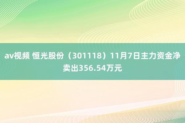 av视频 恒光股份（301118）11月7日主力资金净卖出356.54万元