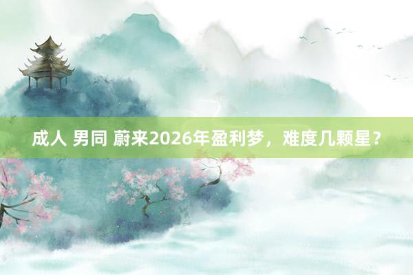 成人 男同 蔚来2026年盈利梦，难度几颗星？