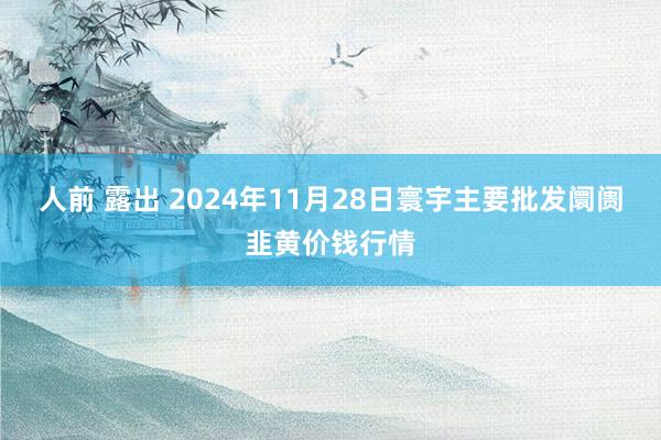 人前 露出 2024年11月28日寰宇主要批发阛阓韭黄价钱行情